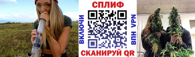 Бошки марихуана семена  даркнет сайт  Кондопога 